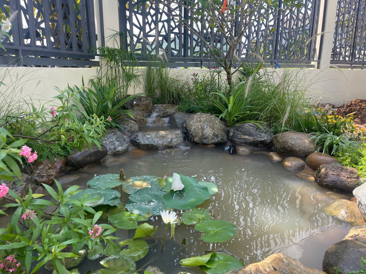 sân vườn nhà phố trước và sau khi thiết kế cây xanh