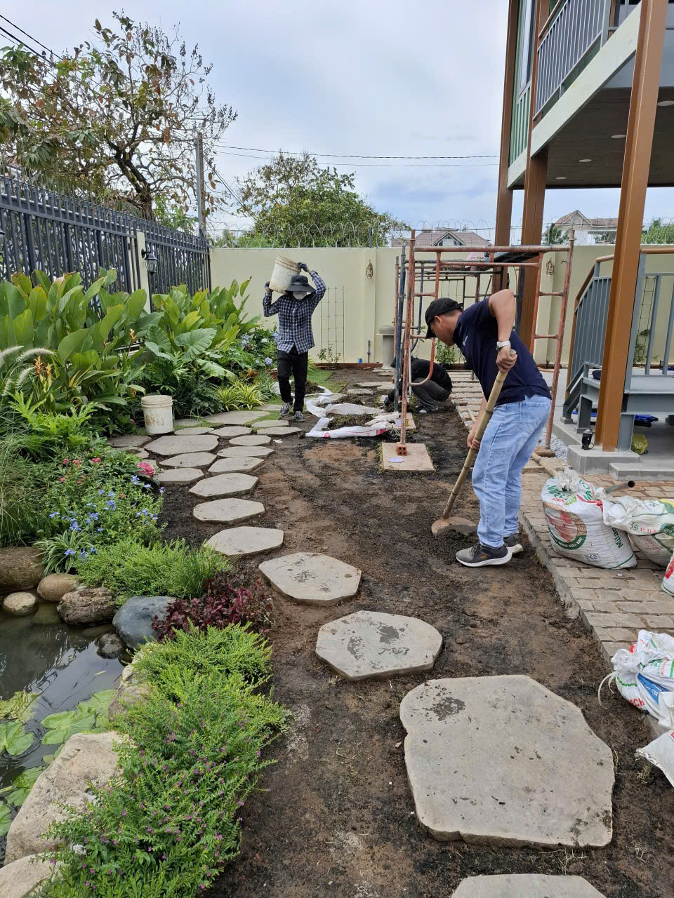 thiết kế sân vườn sân thượng nhà phố với cây nhiệt đới